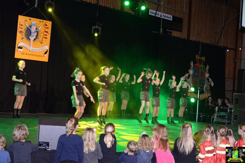 ../Images/Dansmarieke festival 2018 266.jpg